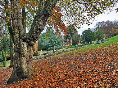 Saltwell Park
